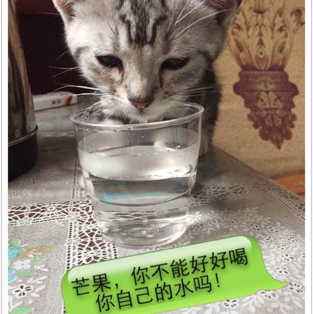 房产证图片样本高清下载